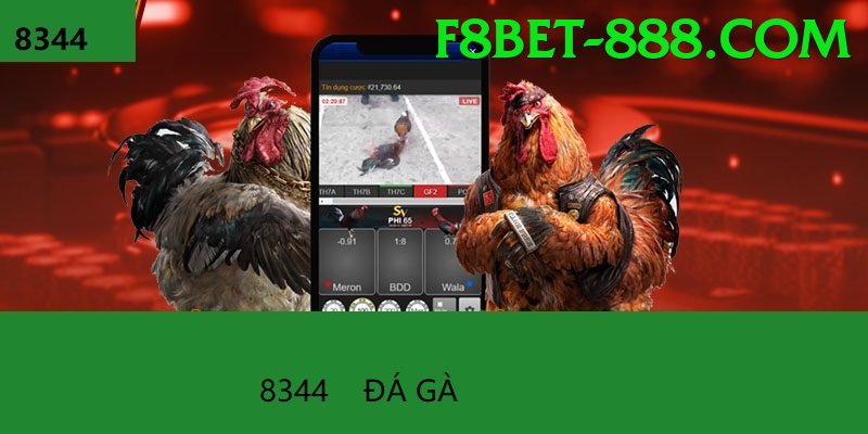 Đá Gà Trực Tiếp - Trải nghiệm tuyệt vời