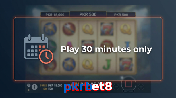 Payment and PKR controls in Pkrbet8